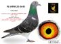PL-0498-26-3641 - 100 % Vercammen