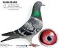 PL-0498-26-3641 - 100 % Vercammen