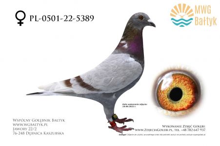 PL-0501-22-5389: Laskiewicz Dariusz, 29. Lotnik, m.in. 88m., 9m. z FINAŁU