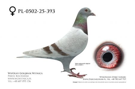 PL-0502-25-393: Tadeusz Kosmala