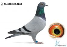 PL-0502-26-2262  - 68 z finału 420 kkm - GREG