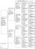PL 0503-26-3615 Prange/Koopman inbred 