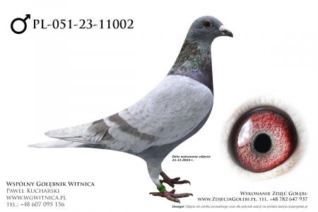 PL-051-23-11002: J M Team