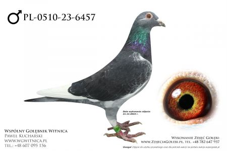 PL-0510-23-6457: Rubaszewski Bronisla