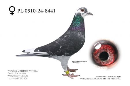 PL-0510-24-8441: Wachnik Bartosz, 53. Lotnik, m in 1m, 44m z FINAŁU