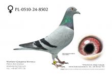 PL-0510-24-8502: Andrzej Buczkowski, m in 20m, 4m, 23m, 5m, 15m z FINAŁU