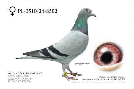 PL-0510-24-8502: Andrzej Buczkowski, m in 20m, 4m, 23m, 5m, 15m z FINAŁU