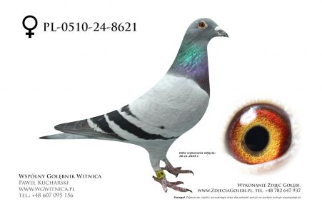 PL-0510-24-8621: Andrzej Buczkowski, m in 5m, 40m, 32m, 8m, 18m, 13m z FINAŁU