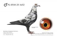 PL-0510-25-1652: Erwin Solski