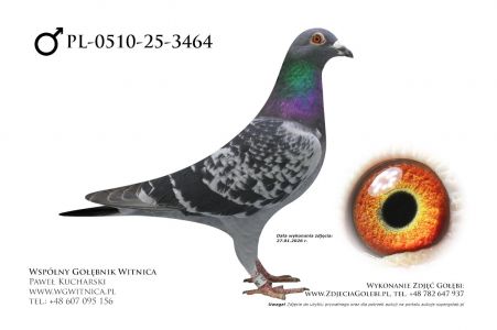 PL-0510-25-3464: Tomasz Brzuchanski, 100. Lotnik, m in 3m