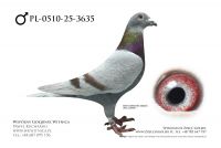 PL-0510-25-3635: Bronek Rubaszewski, m in 26m