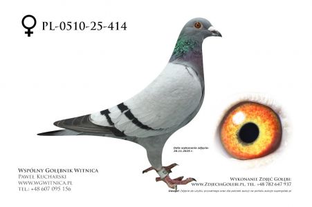 PL-0510-25-414: Bogdan Solski, 75. Lotnik