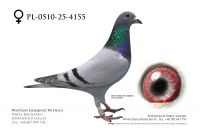 PL-0510-25-4155: Dabrzalski-Kwasny, 67. Lotnik, m in 47m z FINAŁU