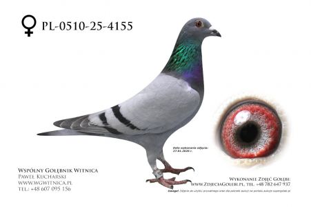 PL-0510-25-4155: Dabrzalski-Kwasny, 67. Lotnik, m in 47m z FINAŁU