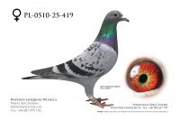 PL-0510-25-419: Bogdan Solski