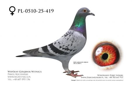 PL-0510-25-419: Bogdan Solski