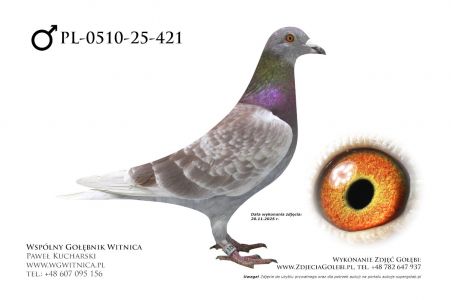 PL-0510-25-421: Bogdan Solski, 23. Lotnik, m in 15m