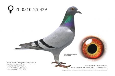 PL-0510-25-429: Bogdan Solski, m in 39m