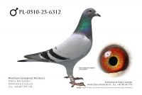 PL-0510-25-6312: Tomasz Brzuchanski, m in 44m