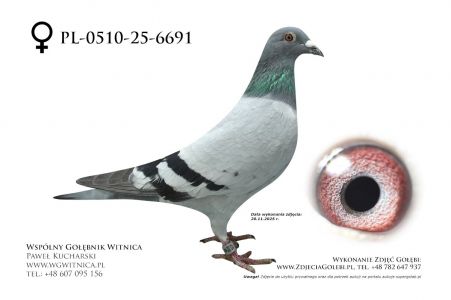 PL-0510-25-6691: Robert Gostynski, m in 40m, 43m z FINAŁU