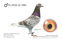 PL-0510-25-7001: Bartosz Wachnik, m in 44m z FINAŁU