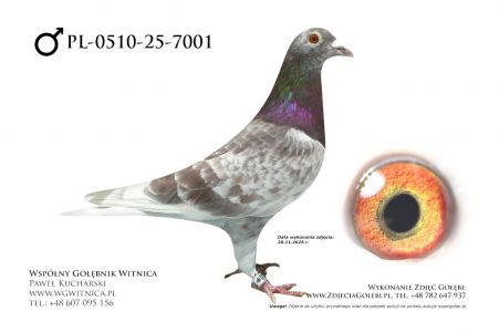 PL-0510-25-7001: Bartosz Wachnik, m in 44m z FINAŁU