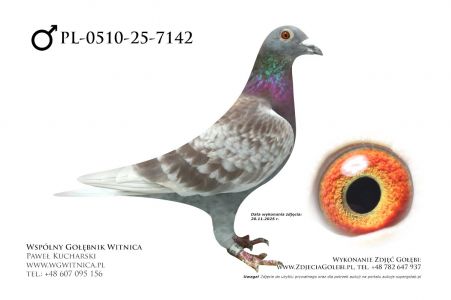 PL-0510-25-7142: Bartosz Wachnik
