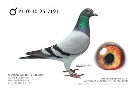 PL-0510-25-7191: Ryszard Wachnik, 19 Lotnik, m in 10m z FINAŁU