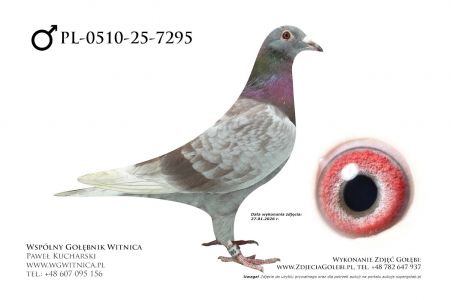 PL-0510-25-7295: Bartosz Wachnik, 49. Lotnik, m in 22m z FINAŁU