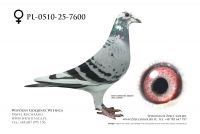 PL-0510-25-7600: Dream Team