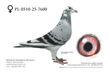 PL-0510-25-7600: Dream Team