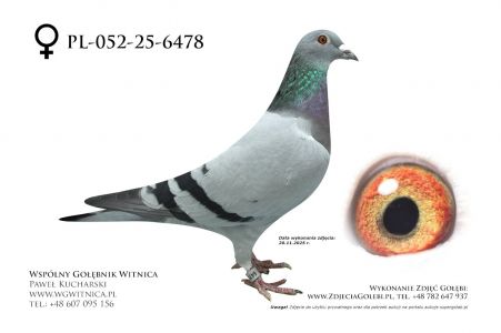 PL-052-25-6478: Marcin Pampuch, 12 Lotnik, m in 10m, 22m z FINAŁU