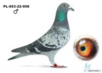 PL-053-22-958.