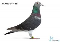 PL-053-24-1267 - Krystian Nowak