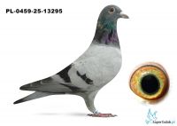 PL-0549-25-25-13295 inbred DAKAR