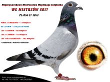 PL-056-17-1853 ORYG ZBIGNIEW OLEKSIAK - MATKA NAJLEPSZEGO LOTNIKA REGIONU ii PÓLNOC w 2023 roku GOLIAT 14/14 KONKURSÓW