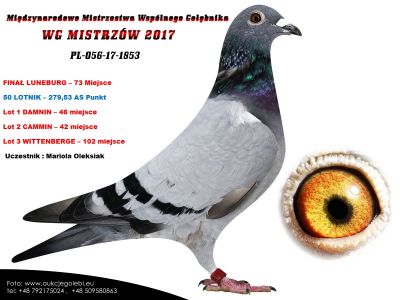 PL-056-17-1853 ORYG ZBIGNIEW OLEKSIAK - MATKA NAJLEPSZEGO LOTNIKA REGIONU ii PÓLNOC w 2023 roku GOLIAT 14/14 KONKURSÓW