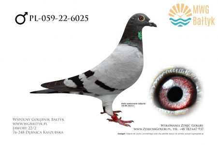 PL-059-22-6025: Zurawski Pawel, 62. Lotnik, m.in. 6m. z FINAŁU