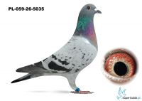 PL-059-26-5035