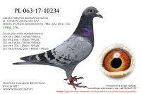 PL-063-17-10234