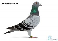 PL-063-24-4833 - Wojtek Handerek  1 AS Daleki Dystans