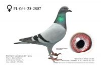 PL-064-25-2807: Bartek Krolikowski