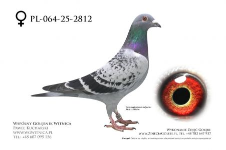 PL-064-25-2812: XXXX, 52. Lotnik, m in 25m z FINAŁU