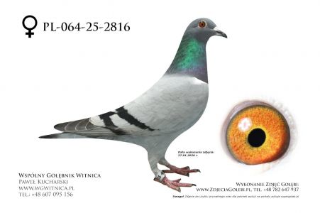 PL-064-25-2816: Dominik Jarek Angel, 95. Lotnik, m in 39m, 46m