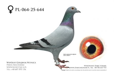 PL-064-25-644: Lucyna Kotlowska