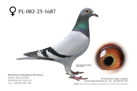 PL-064-25-650: Lucyna Kotlowska, 92. Lotnik