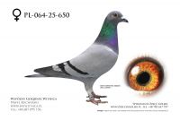 PL-064-25-650: Lucyna Kotlowska, 92. Lotnik