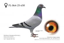 PL-064-25-650: Lucyna Kotlowska, 92. Lotnik