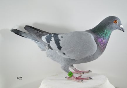 PL-065-18-462-MATKA NAJLEPSZA LOTNICZKA ODDZIAŁU