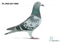 PL-065-25-1980  7. LOT GDAŃSK 